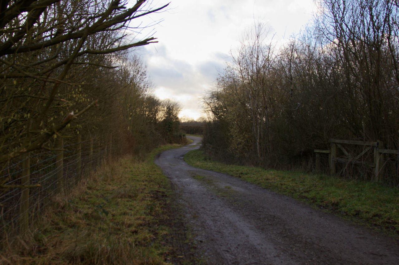 DIRT ROAD BY TREES AGAINST SKY