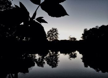 Silhouette of trees at sunset