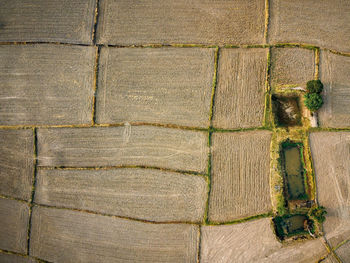 Full frame shot of patterned wall