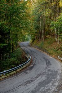 Road passing through forest