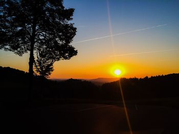 Silhouette of trees at sunset