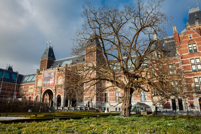 Trees and buildings against sky