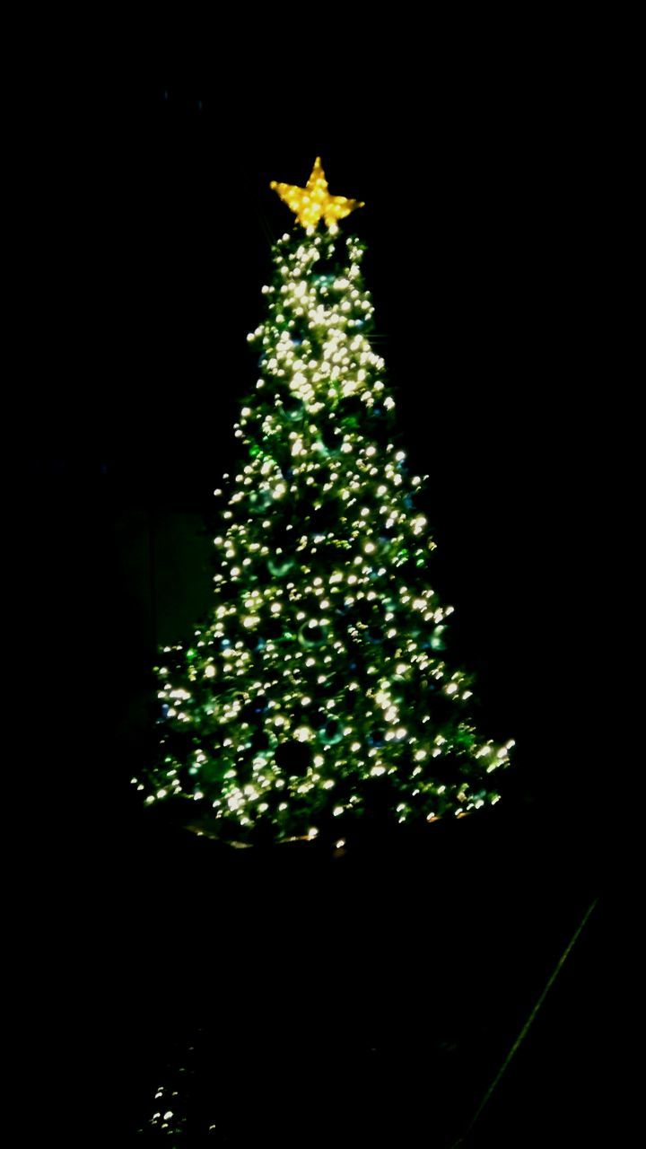 ILLUMINATED CHRISTMAS TREE AT NIGHT DURING AUTUMN