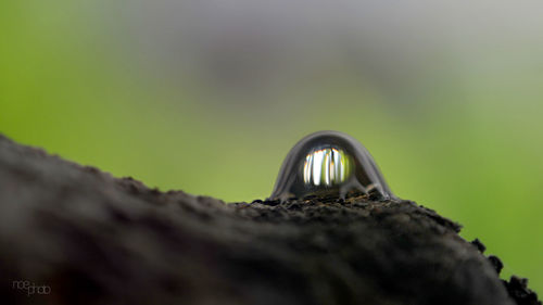 Low angle view of a rock