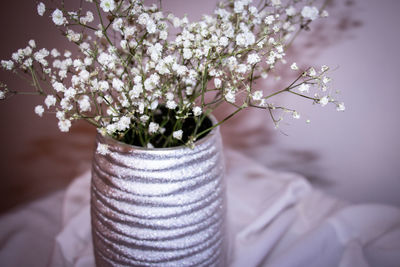 Close-up of white flowers in vase