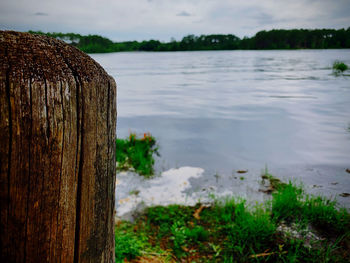 Close-up of wooden posts in lake against sky