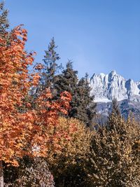 Low angle view of snowcapped mountain against sky