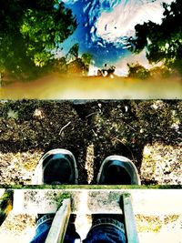 Reflection of trees in water