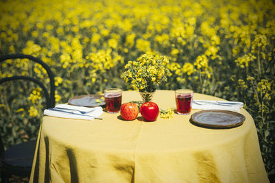 Various fruits on table by plants