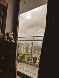 Cat sitting on window sill at home