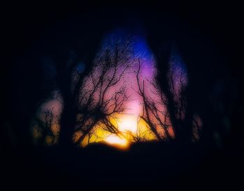 Close-up of silhouette tree against sunset sky