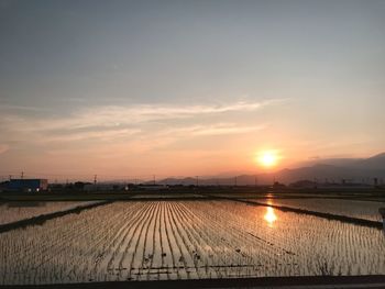 Scenic view of agricultural field against sky during sunset