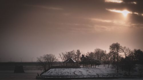 Trees by building against sky during winter