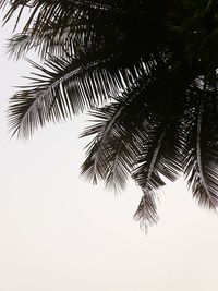 Low angle view of silhouette tree against clear sky