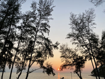 Low angle view of silhouette trees against sky during sunset