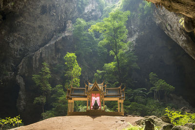 Rear view of men on rock in forest