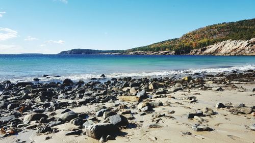 Scenic view of beach