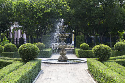 Fountain in garden