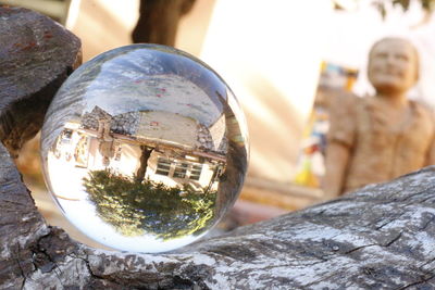 Close-up of reflection on tree