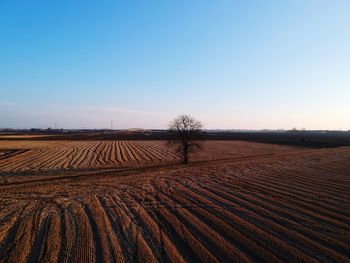 Scenic view of field against clear sky