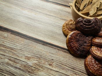 Close-up of shells on table