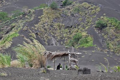 Rear view of woman standing on rock by trees