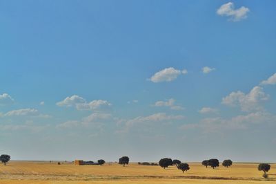 Scenic view of field against cloudy sky