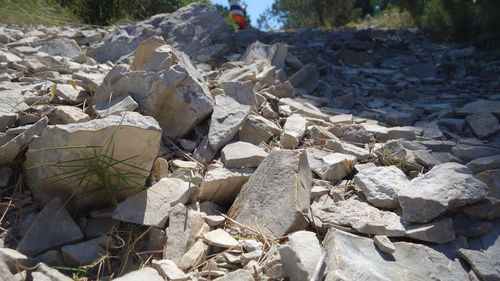 Stack of logs on rocks