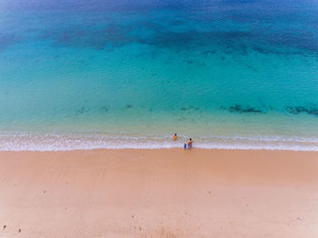 High angle view of father with children on shore at beach