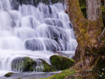 Scenic view of waterfall in forest