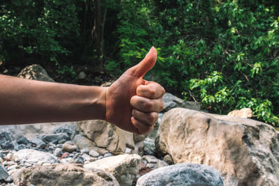 Cropped image of person gesturing thumbs up in forest