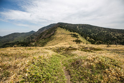 Scenic view of landscape against sky