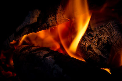 Close-up of bonfire