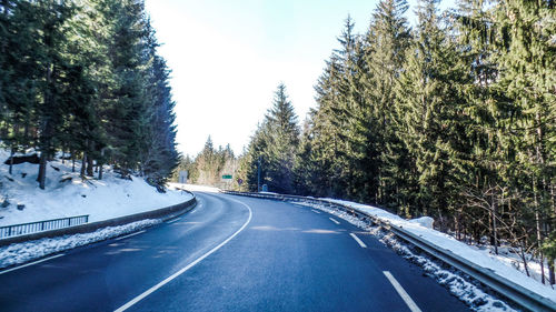 Road amidst trees against sky during winter