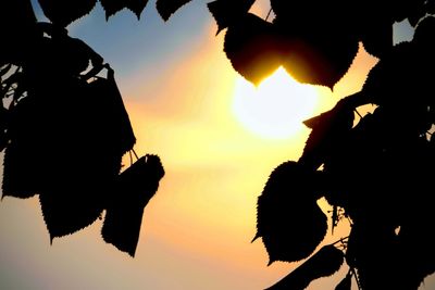 Silhouette plants against sky during sunset