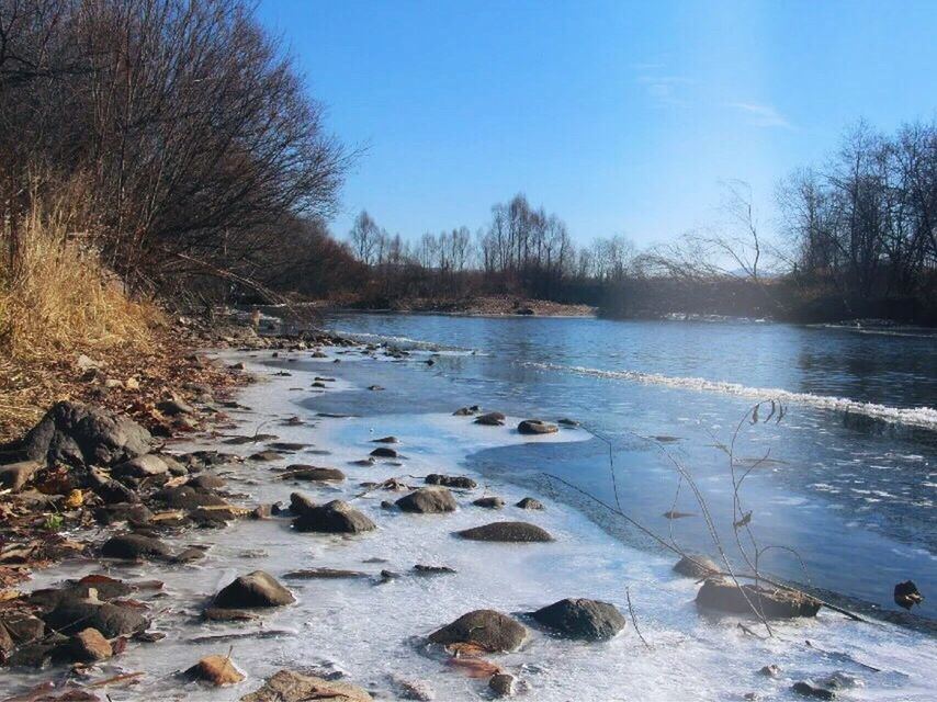 water, tree, tranquil scene, tranquility, bare tree, scenics, beauty in nature, nature, lake, sky, rock - object, river, stream, clear sky, non-urban scene, lakeshore, stone - object, forest, idyllic, outdoors