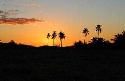 Silhouette trees on field against sky during sunset