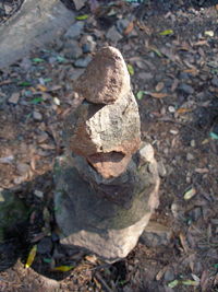 Close-up high angle view of stone