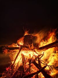 Bonfire on wooden log at night