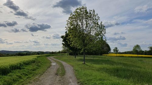 Empty road amidst field against sky