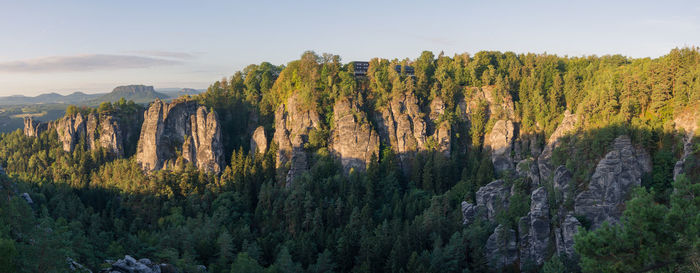 Panoramic view of trees and plants against sky