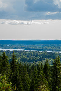 High angle view of trees on landscape against sky