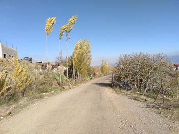 Road amidst trees against clear blue sky