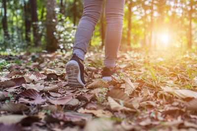 Low section of woman walking on autumn leaves in forest
