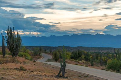 Road amidst tatacoa desert against cloudy sky during sunset