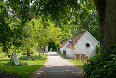 Footpath amidst trees and buildings