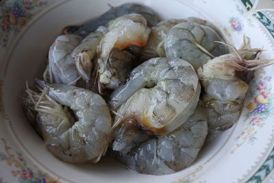 High angle view of shells in plate