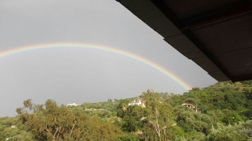 rainbow