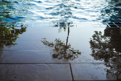 High angle view of swimming pool