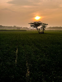 Scenic view of field against sky during sunset